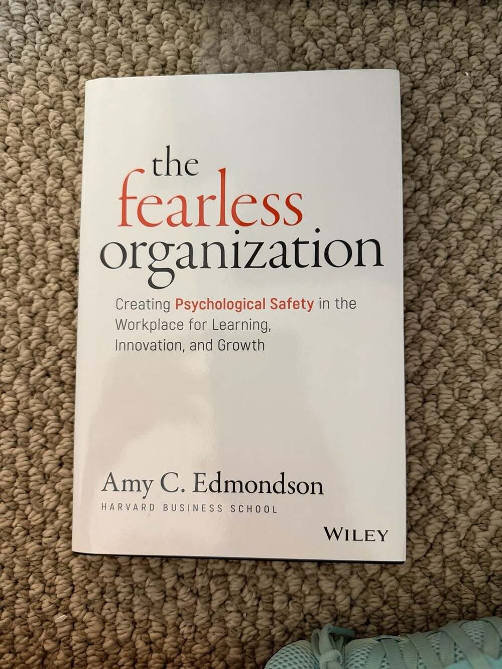 The Fearless Organization by Amy C. Edmondson